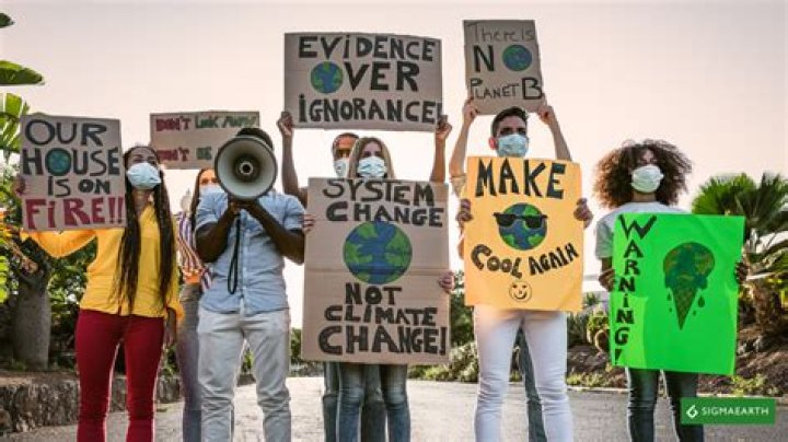 Darryl Hannah: A Multifaceted Talent in Film and Environmental Activism