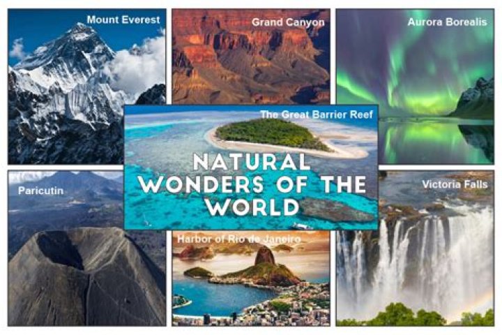 Discovering the Wonders of Alfalfita: Nature's Hidden Gem