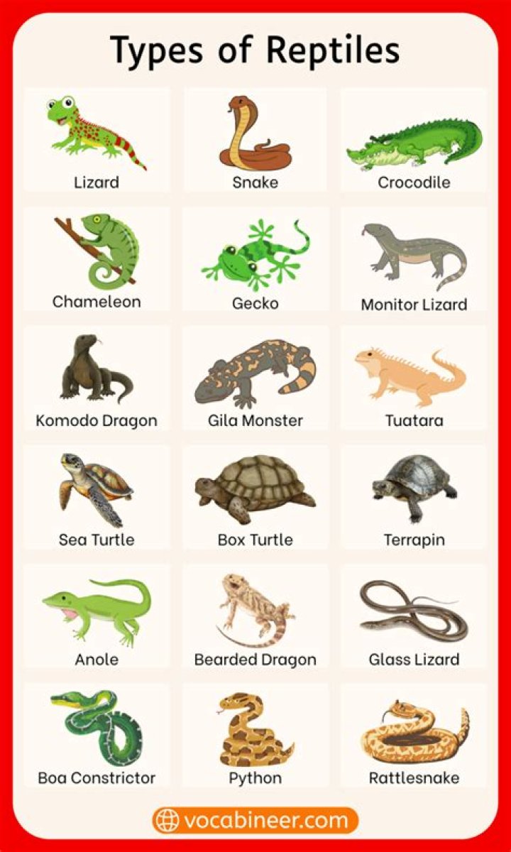 Exploring the Elements: The Intriguing World of Earth, Air, Water, and Fire Signs