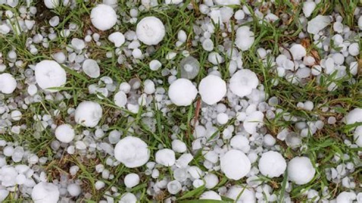 Exploring the Enigmatic Beauty of the Purple Hail Storm in Stunning Clarity