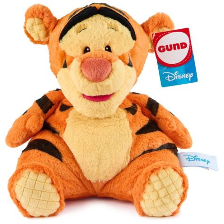 Exploring the Life of Big Tigger's Girlfriend