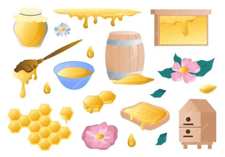 Exploring the Sweet World of Honey Toon