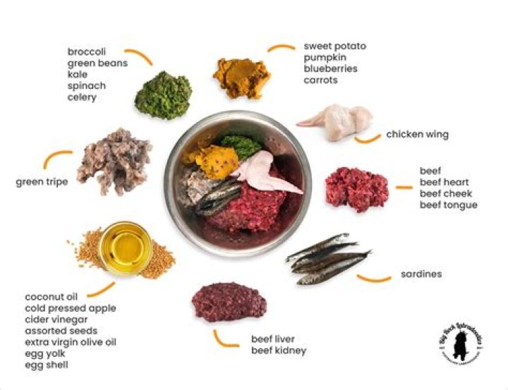 Understanding the Meaning of "Raw Dog"