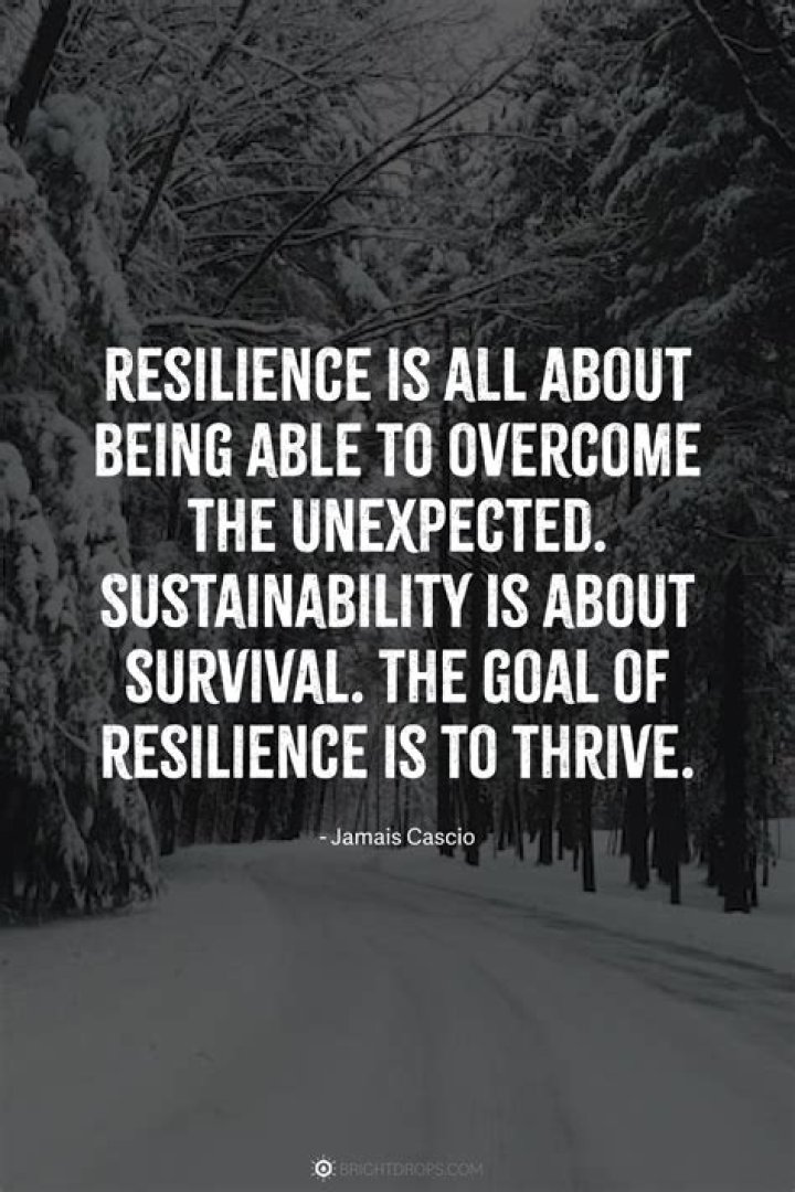 Unraveling the Journey of Jennifer David Goggins: A Tale of Resilience and Strength