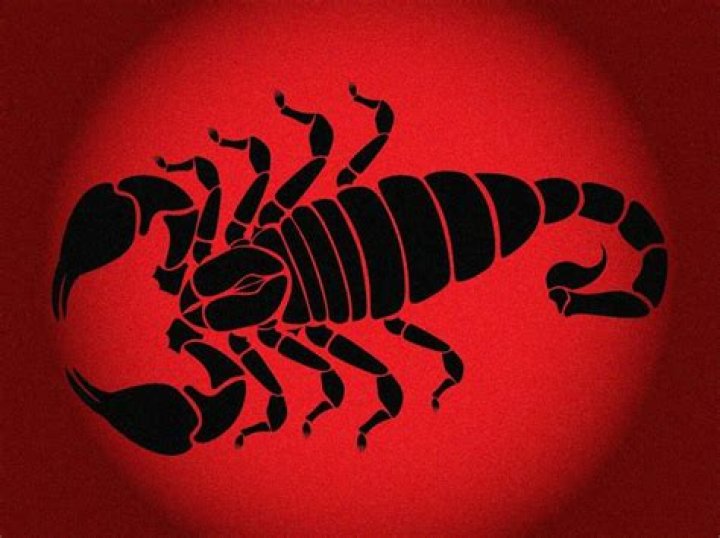 Unveiling the Mystique of Scorpio Dayes: A Journey Through the Stars